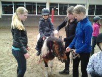 /album/the-best-pony/camera-marjan-2563-jpg/
